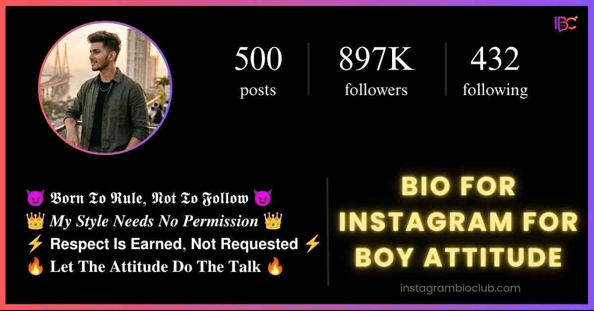 Bio For Instagram For Boy Attitude