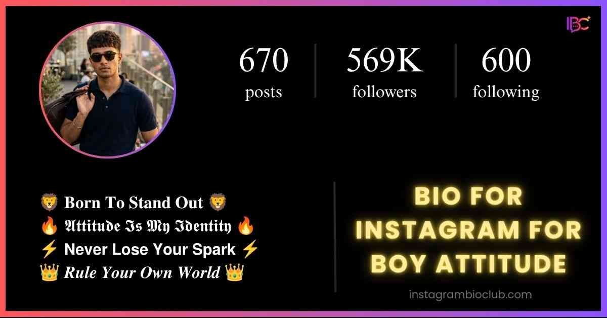 Bio For Instagram For Boy Attitude​
