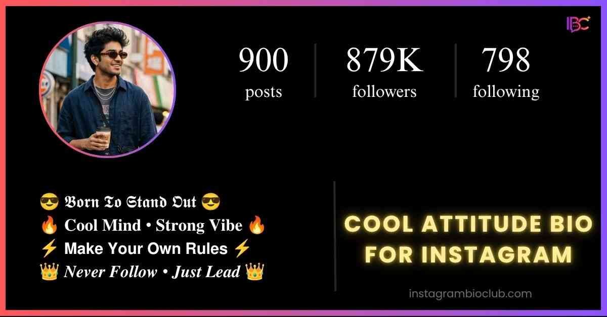 Cool Attitude Bio For Instagram​