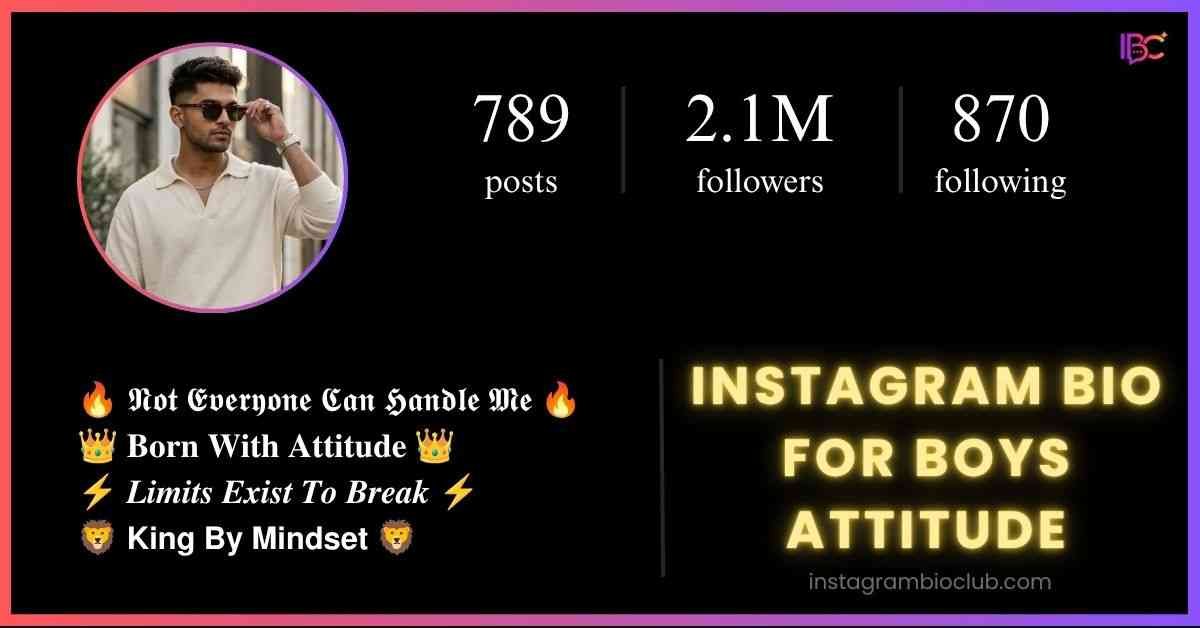 Instagram Bio For Boys Attitude