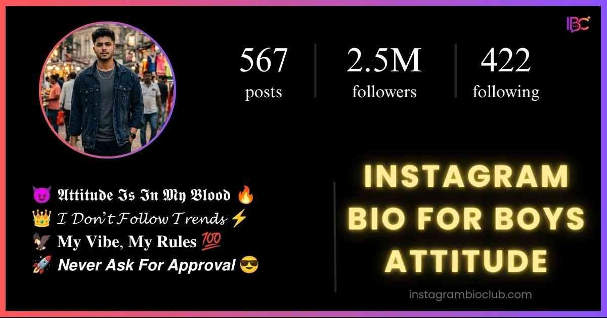 Instagram Bio For Boys Attitude​