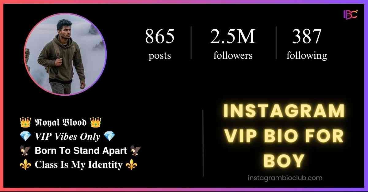 Instagram VIP Bio For Boy​