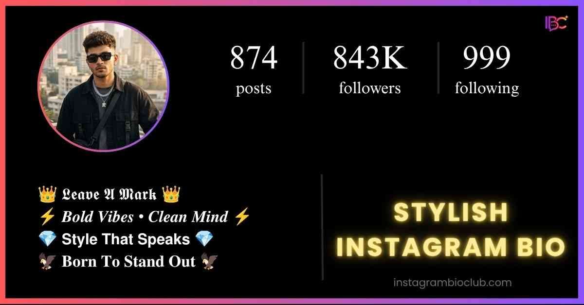Stylish Instagram Bio​