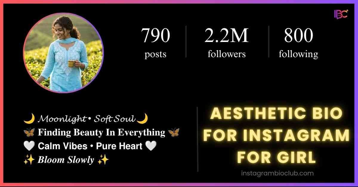 Aesthetic Bio For Instagram For Girl​