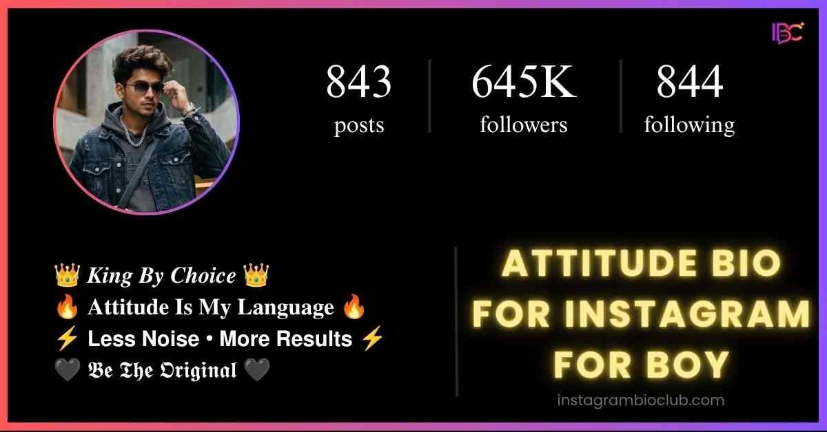 Attitude Bio For Instagram For Boy​