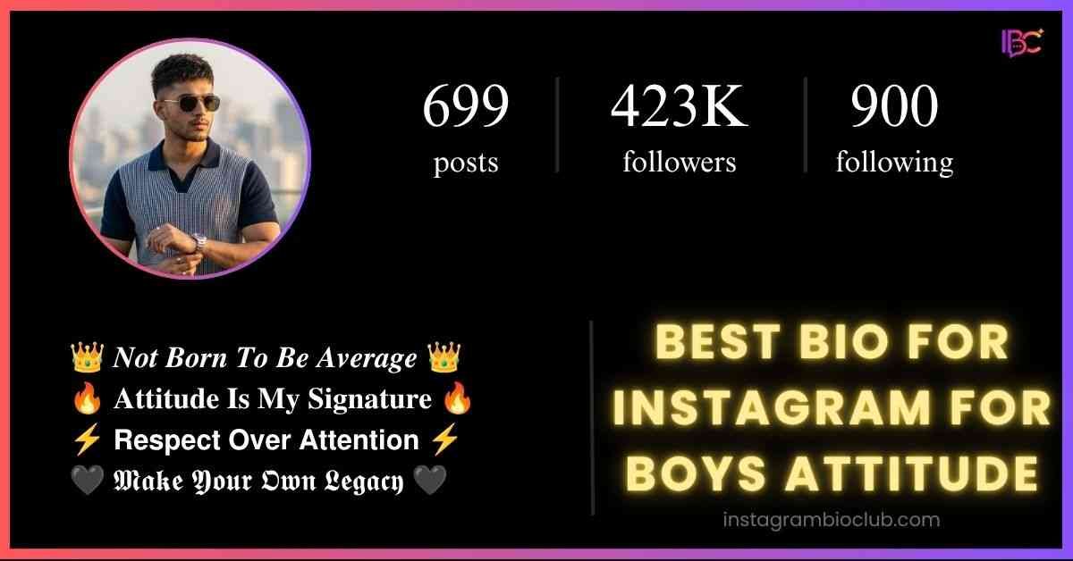 Best Bio For Instagram For Boys Attitude​