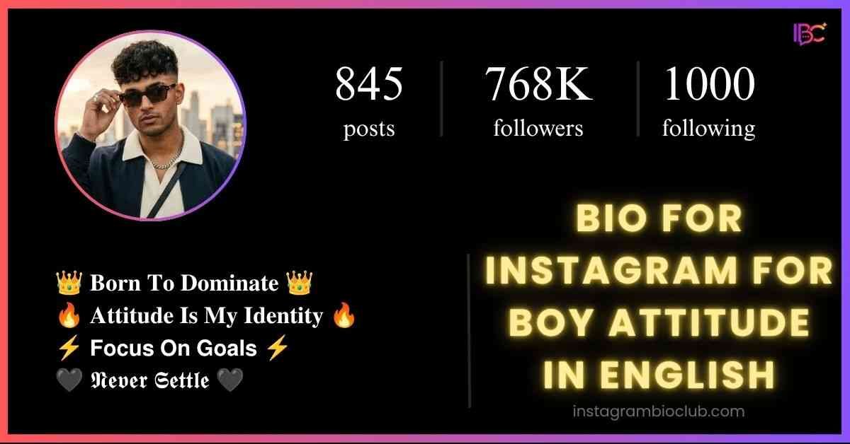 Bio For Instagram For Boy Attitude In English