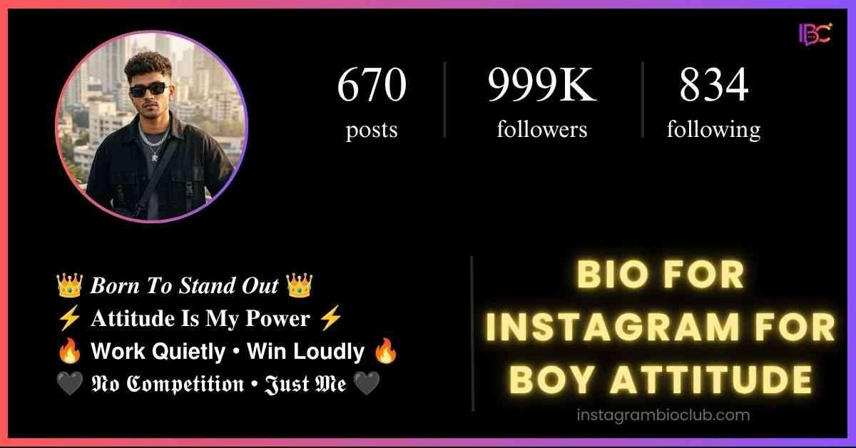 Bio For Instagram For Boy Attitude​