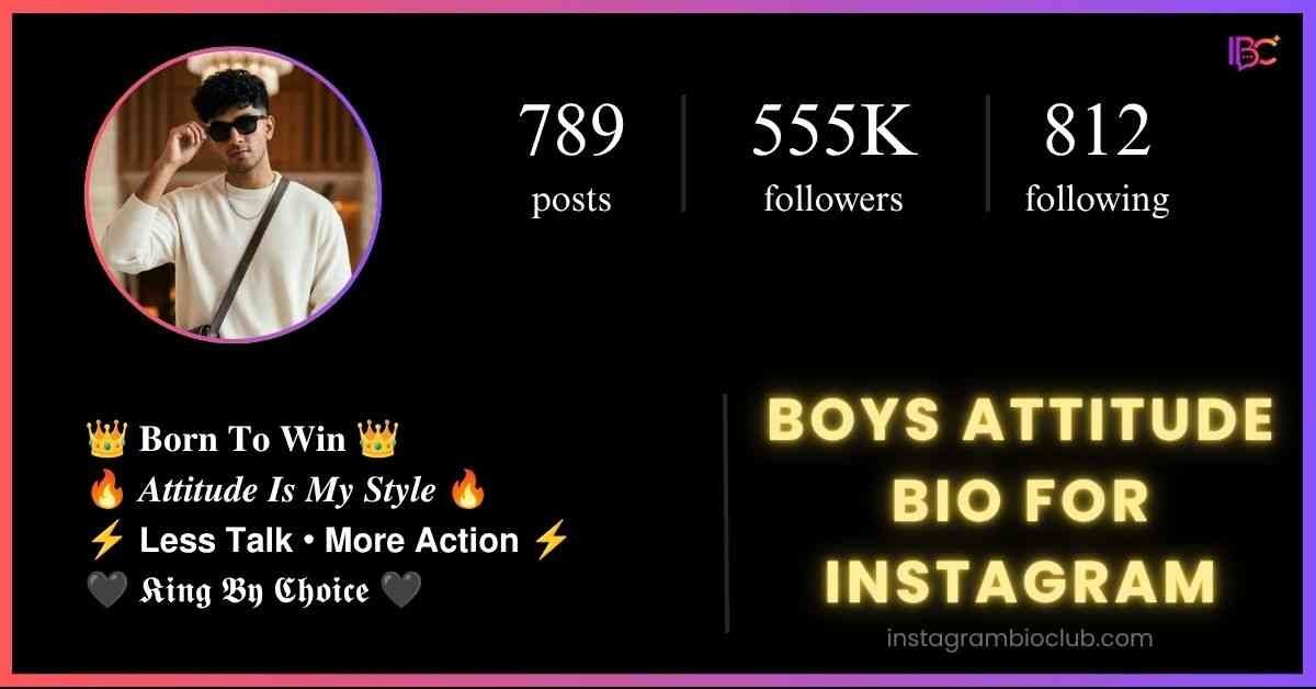 Boys Attitude Bio For Instagram​