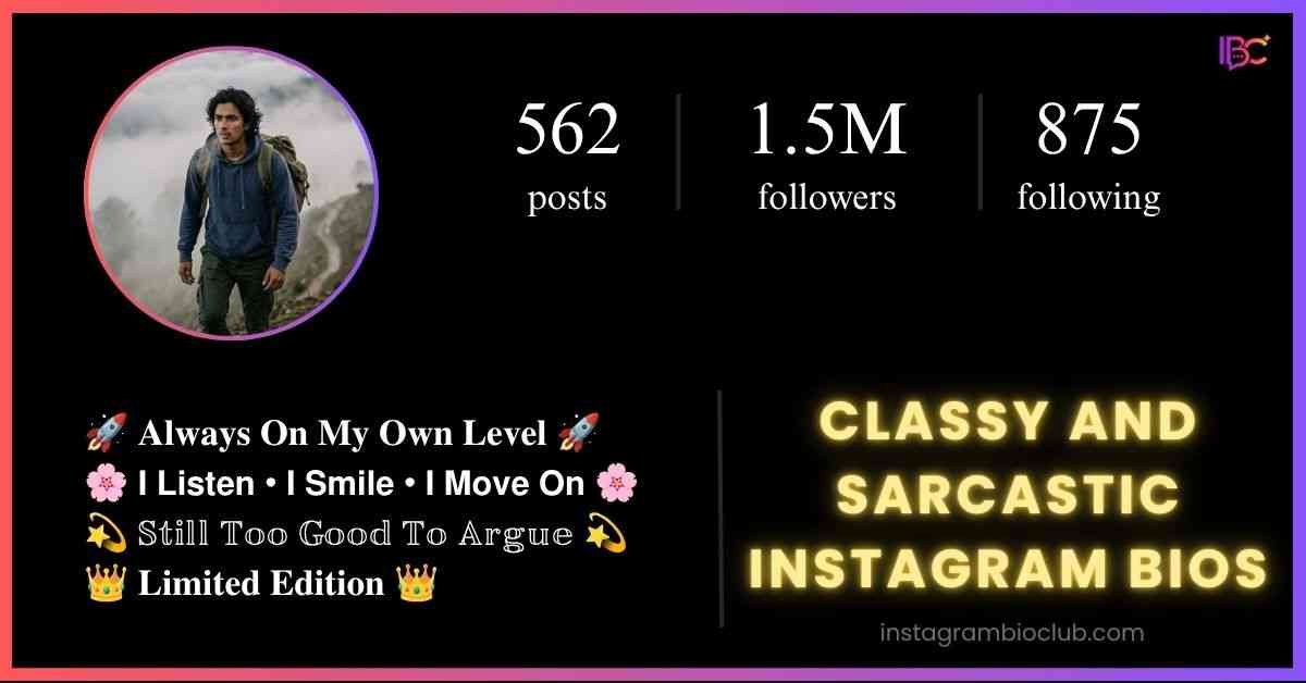 Classy And Sarcastic Instagram Bios