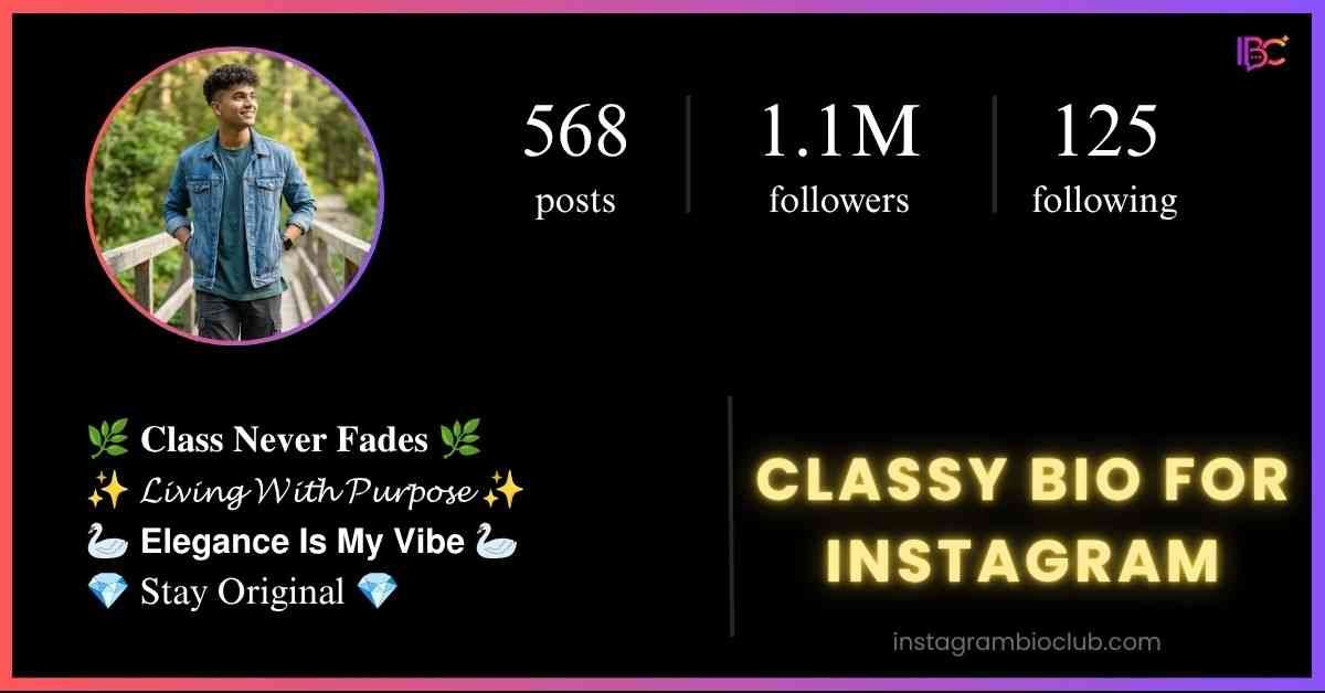 Classy Bio For Instagram​