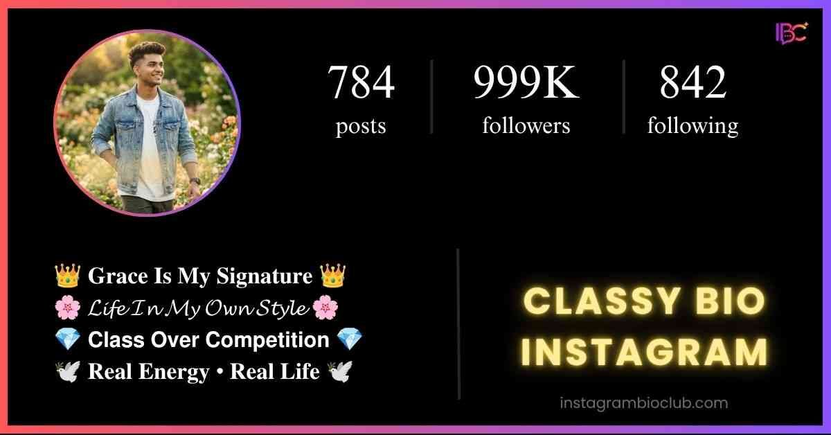Classy Bio Instagram​