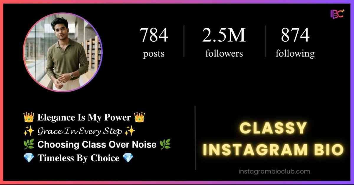 Classy Instagram Bio​