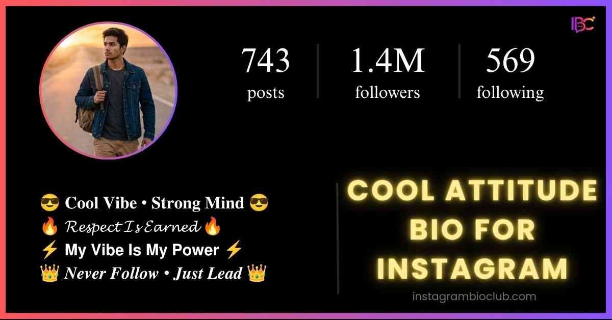 Cool Attitude Bio For Instagram