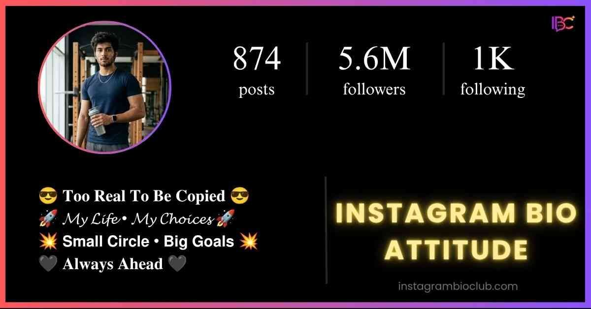 Instagram Bio Attitude