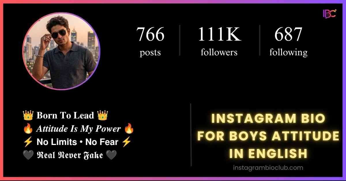 Instagram Bio For Boys Attitude In English​