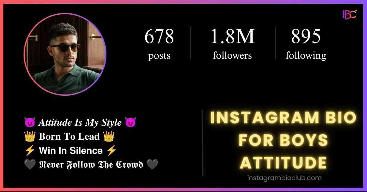 Instagram Bio For Boys Attitude