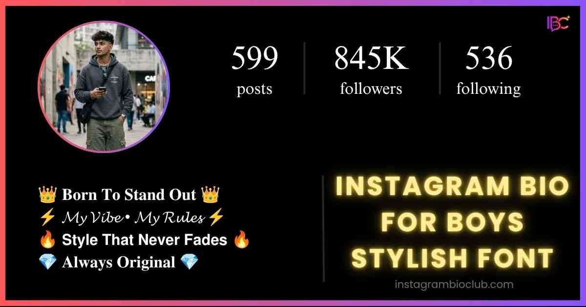 Instagram Bio For Boys Stylish Font​
