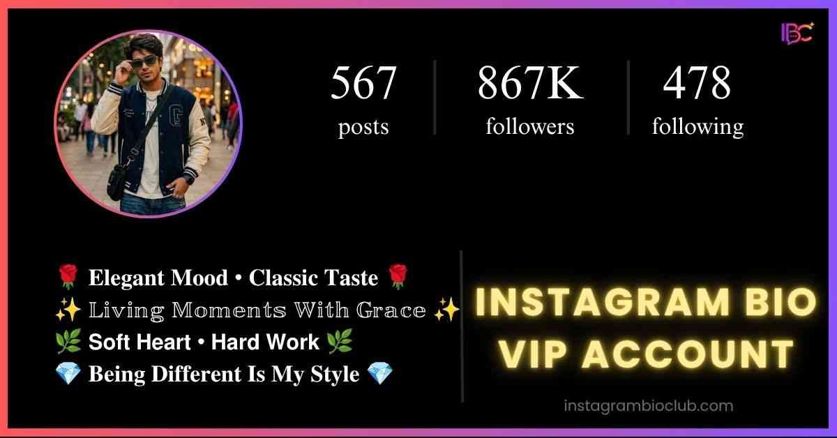 Instagram Bio VIP Account​