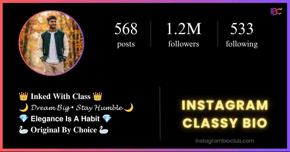 Instagram Classy Bio​