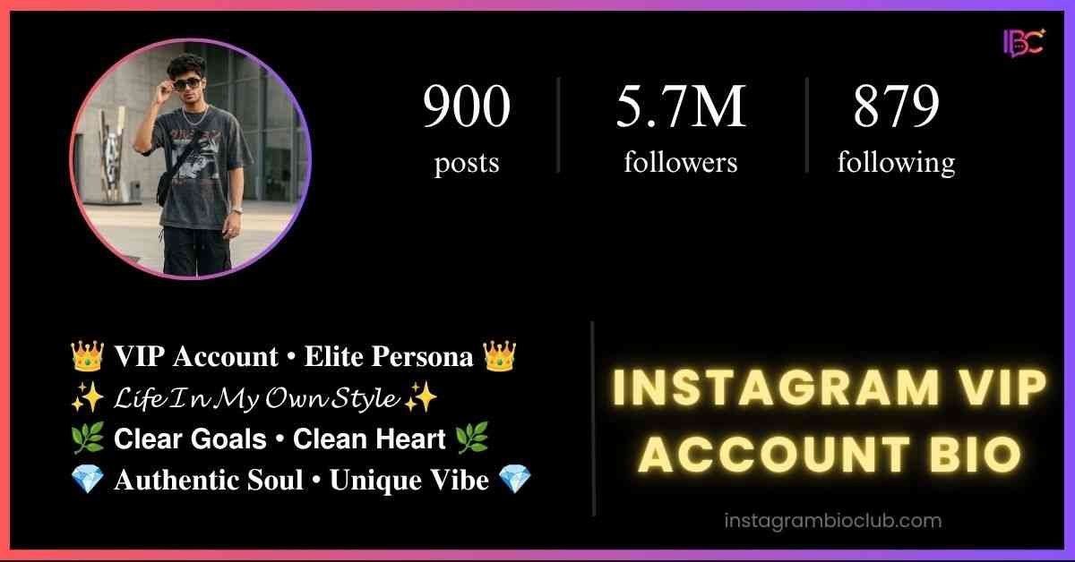 Instagram VIP Account Bio​
