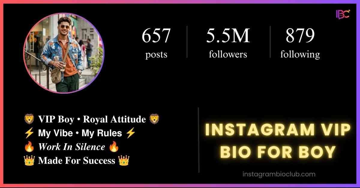 Instagram VIP Bio For Boy​