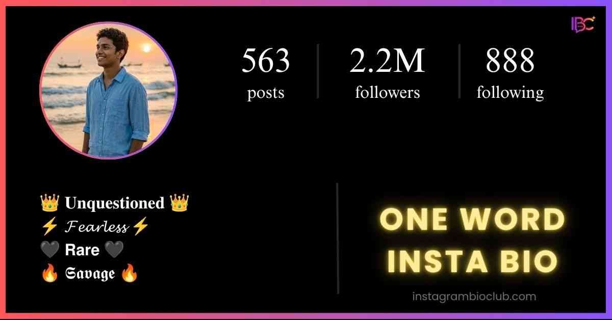 One Word Insta Bio​